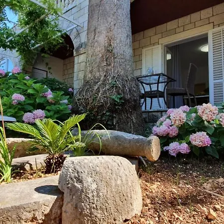 Casa de hóspedes Two Palms